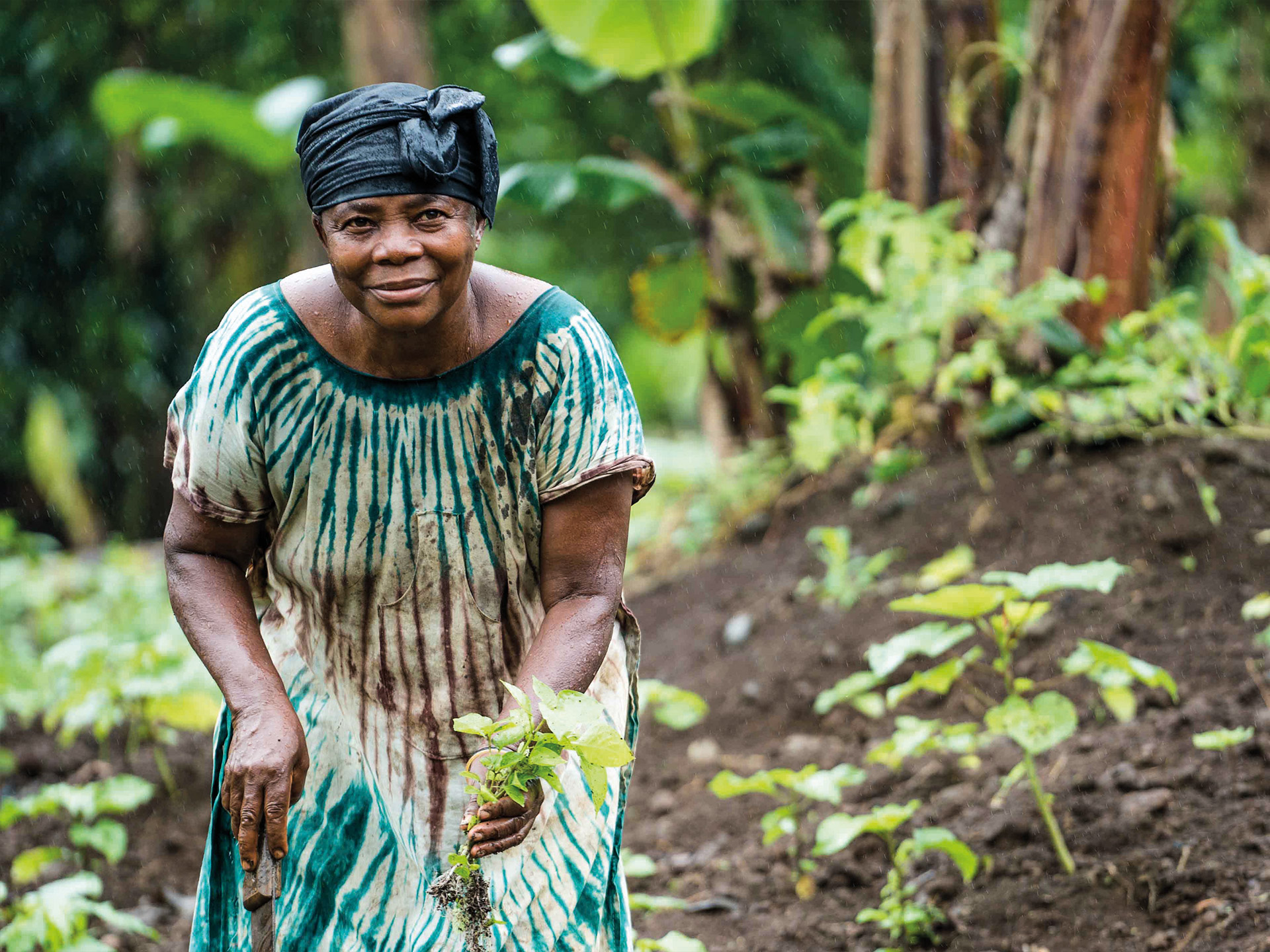 FAO-Guinea_Ecuatorial-09